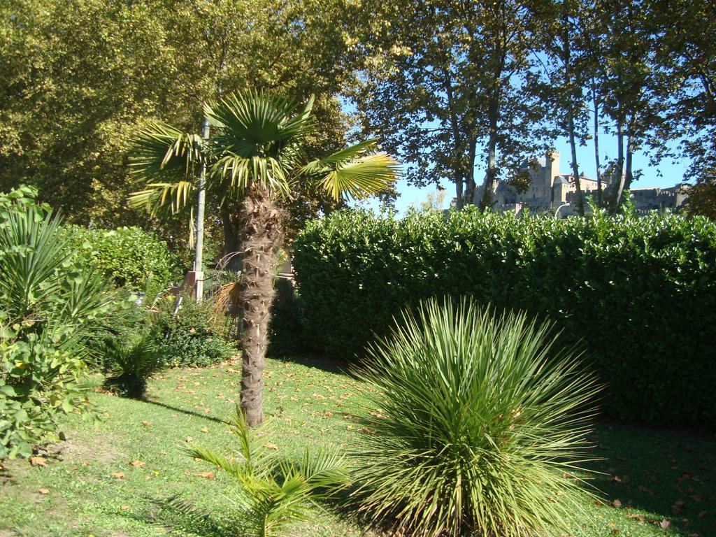 D'hôtes Les Palmiers De La Cité *