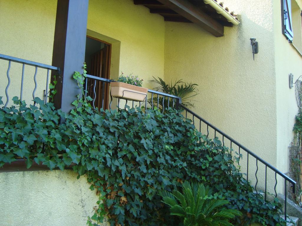 Bed & Breakfast D'hotes Les Palmiers De La Cite Carcassonne